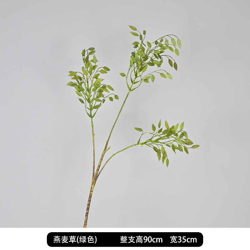 녹색 귀리 잔디