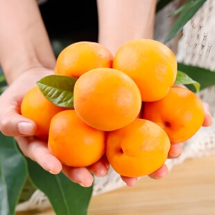 ������S�����r5��������ЋD��ͯˮ���������ӽ�̫�����