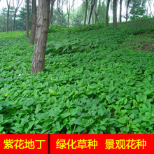 �ϻ��ض����N�ӳɶ��ﲥ���N���U���^�����ͺ����N�ӹ��@���N��