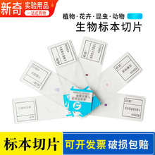 ������Ƭ�˱��@΢�R��Ƭ�˱����ЌW����ͯ����W����ֲ�：������