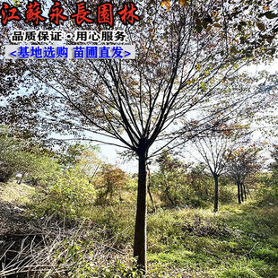 ���ꌣ���Θ��� �Θ�ͥԺ�Nֲ���@�^�p�b�����Ҏ���Rȫ�t�Θ���