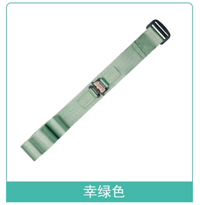 Cross-Border Cute Baby Decoration Car Other Automotive Safety Supplies - one-size-fits-all-lucky-green