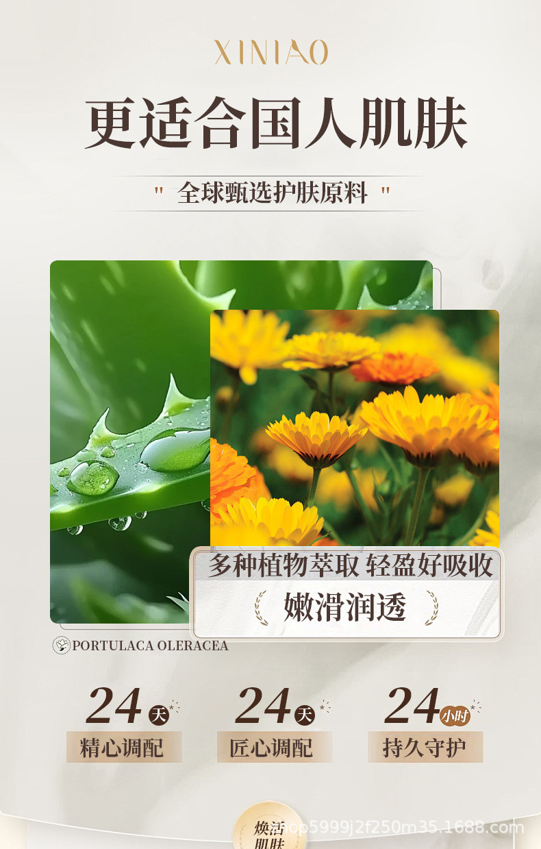 曦鸟白细胞