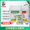 Matilda Rieter partner Water soluble Fertilizer flowers and plants Fruit tree Vegetables take root Foliar