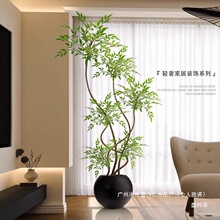 �S��ֱ�N�پGֲ�b��������҃����Դ�����ؔ[���͏d�p�ݷ���Gɫ