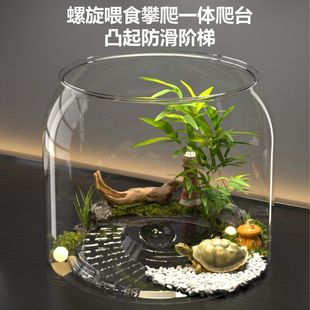 Turtle Ecological Landscaping Tank Balcony Brazilian Turtle Home Mixed Fish Farming Turtle Micro Landscape