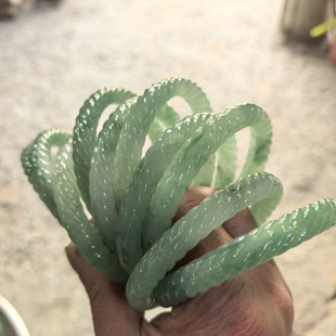 ����ʽ���L�h�������黨���CŮ�[������С������Џ͹Űٴ����C