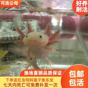 ���ǿ����~����ˮ�������ϔ���w�\���^�p�Ꭷ����R�t�x�ɗ�