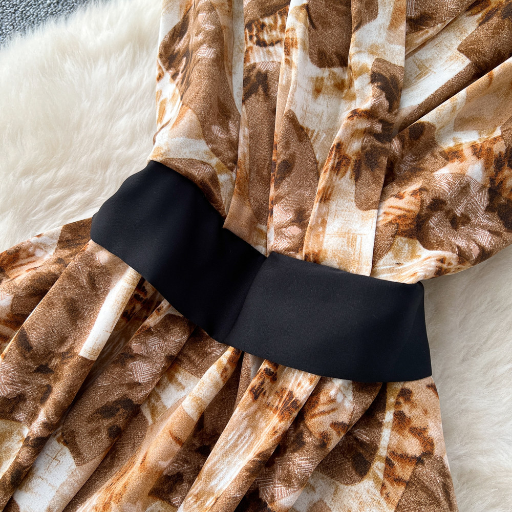 Korean Style Sleeveless Printed Dress for Women High Waisted A-Line Long Skirt Commuter Style Light Luxury Design Spring New_ecoleips.com