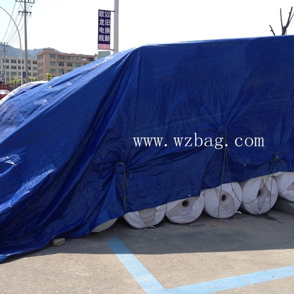 厂家生产PE材质轮船蓬布货车篷布货物盖布