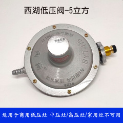 Xihu Brand Pressure Reducing Valve YJ5 Cubic Steel Cylinder Unadjustable Valve 2 Cubic Two-Head External Thread Commercial Valve Low Pressure Valve