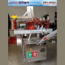 ZW10-12/630户外高压断路器默认项