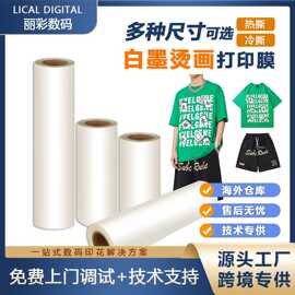 现货速发60cm白墨烫画膜pet热转印膜纸DTF打印膜 双面热撕印花