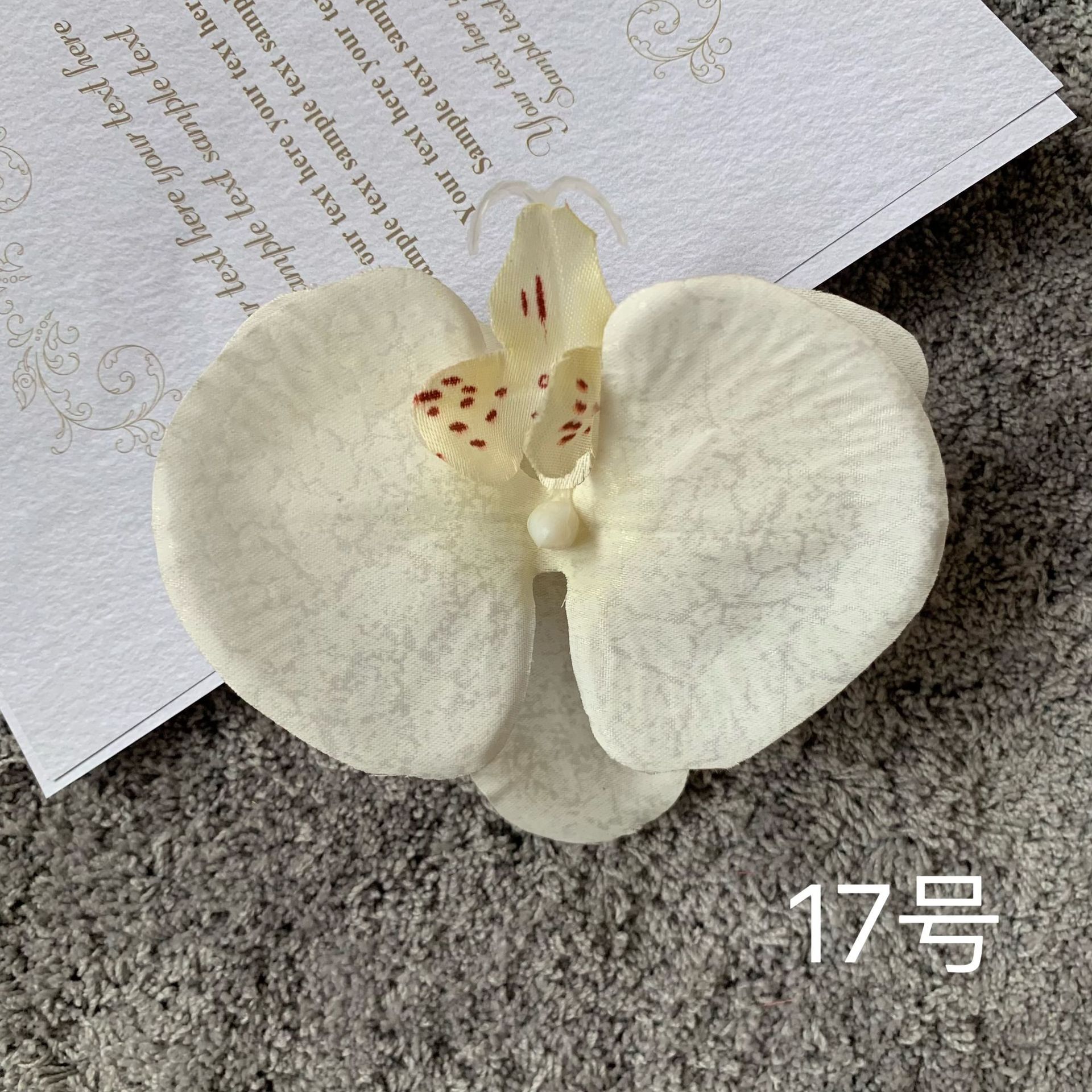 흰색 밝은 노란색 새