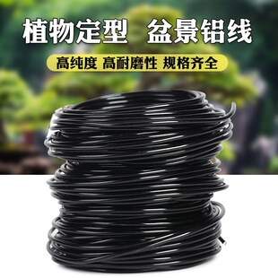 �辰�����X�z�X���P���X�z������@ˇ�F�z��������÷�����X�z