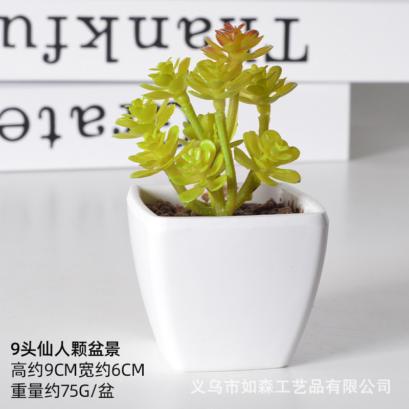 Simulación de plástico carnoso bonsai flor falsa combinación oficina interior escritorio plantas verdes pequeños adornos plantas artificiales al por mayor image 7