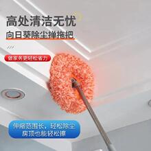 太阳花伸缩拖把打扫天花板清洁擦墙扫灰除霉加长杆掸子天花板拖把