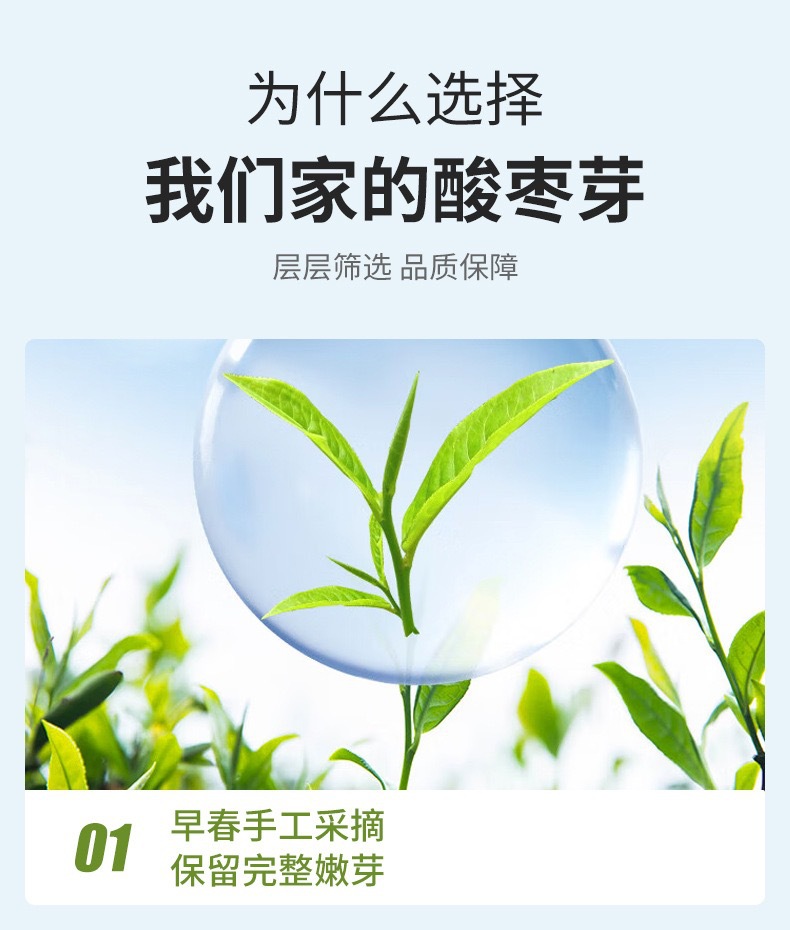 Suan Zao Ya Tea (Ziziphus jujuba var. spinosa) — First-Flush Wild Jujube Leaf & Bud Herbal Tea quality and texture
