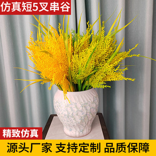 �����5�洮���r�����b������ȼ�ˮ�����뵾��С����������