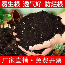 兰花土专用土大包装栽培家庭疏松花卉营养土回填种菜盆压缩施肥盆