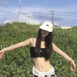 韩国性感黑色木耳边比基尼分体三角简约度假风显瘦海边温泉泳衣女