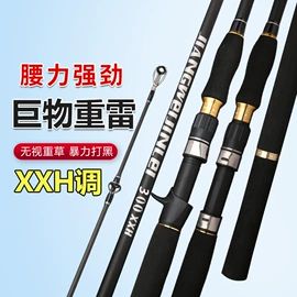 鱼竿;鱼竿支架