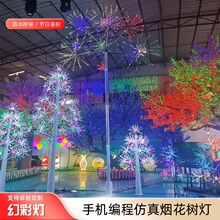 LED �ò��̻����ƽ���װ���߲ʱ����񻨵������쾰�����̻��ƹ���