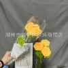 Rose yellow