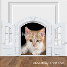 羳NFrench Cat Door ʽMp_T ABS؈TT