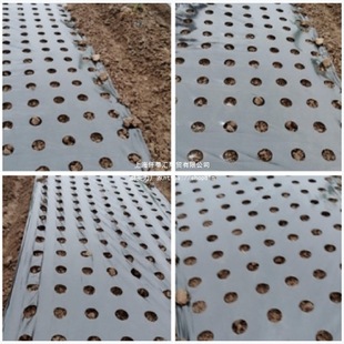 Moisturizing Farmland Black Mulch Silver-Black Weed Control Agricultural Onion Film Anti-Weed Onion Film Reflective Film Perforated
