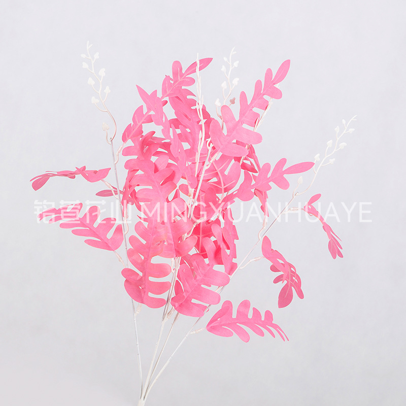 진달래색 - 아카시아 잎 다발