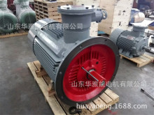 �����طNYBX5400-10-220KW늙C����YBX5400-10-220늙C����]���}