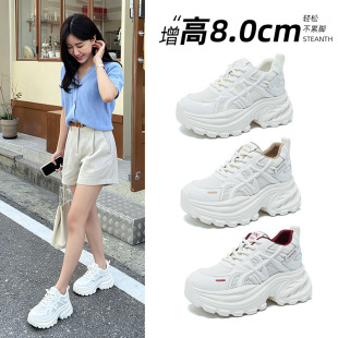 С����8CM�����ϵ�ЬŮ2026�ľW��͸���ɸ����@���L�ٴ��\��Ь