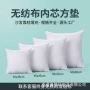 外贸源头跨境30x50cm200g枕芯