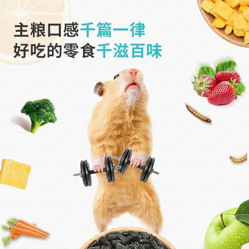 yee hamster snack gift pack, molar corn, boredom relief nutrition, chinchilla golden bear freeze-dried snack batch food