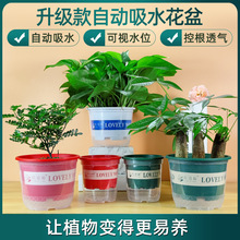 自吸水花盆双层透明外盆防烂根储水器室内简约懒人塑料花盆加仑盆