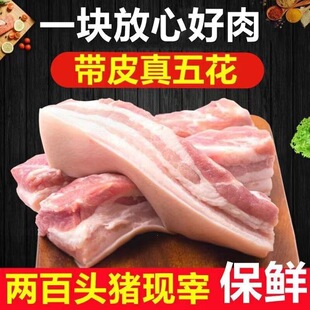 �廨���i���i�����r�廨��Ƥ��Ƥ�r���iɢ���F���B�i