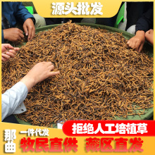 ���ض��x���ຣ����ԭ��Ұ���x�Ĳݮa�����l�x��һ�����l�ߺ���