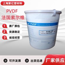 άSolvay PVDF Solef 6008/0001 ƫϩ֬ PVDF 