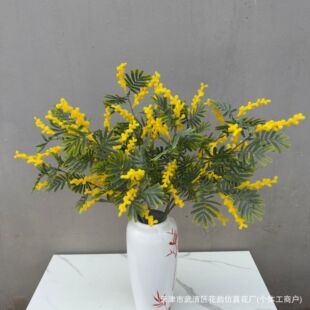 ���滨ë�q�Wʽ��Ϛg��˼���Ҿ��҃��b��͏dܛ�b��ˇ�zӰ����