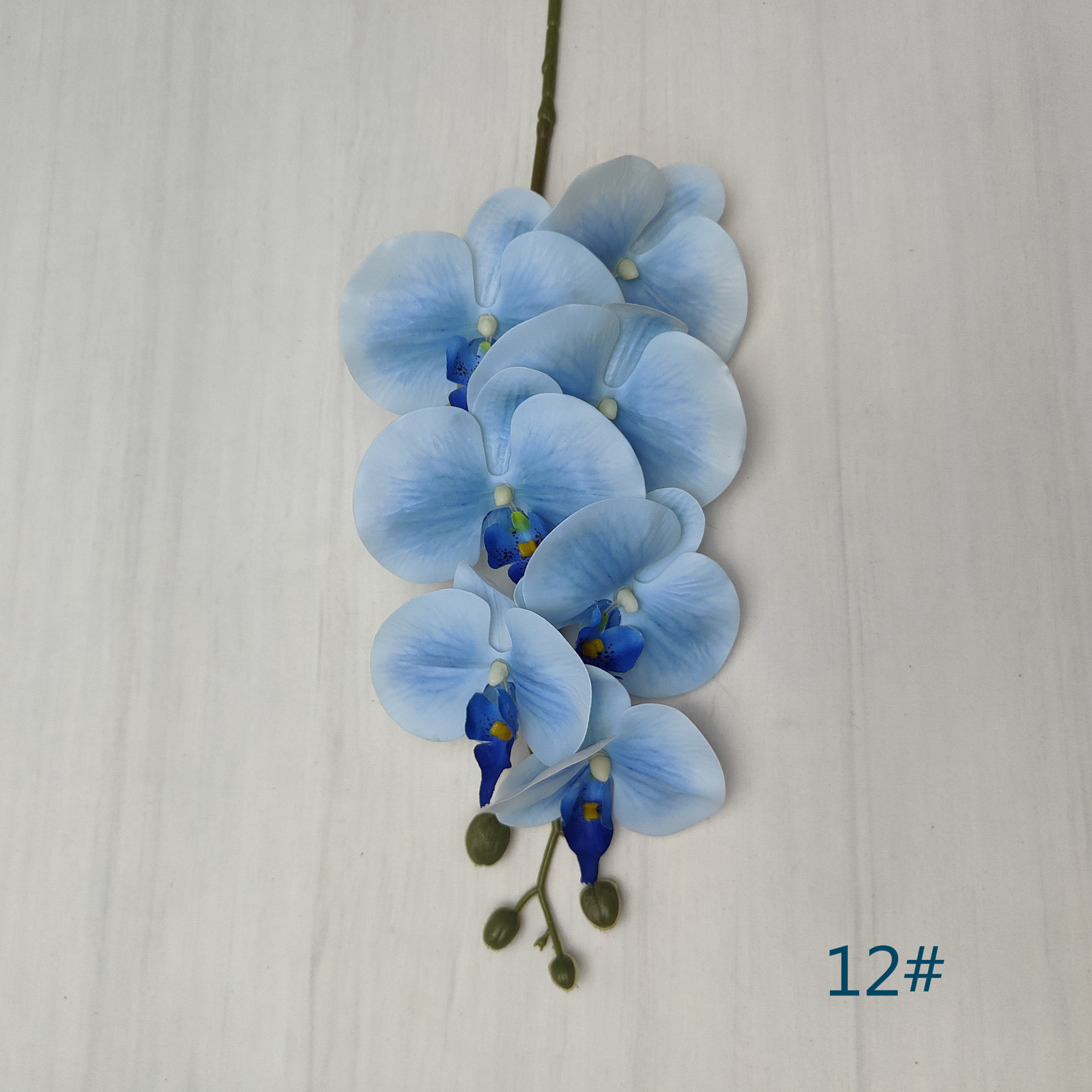 12#
