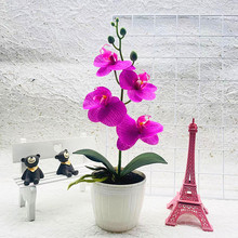 ��������m�辰�¿�4������m��ľ�y�����Է��滨���l�Ҿ��b�