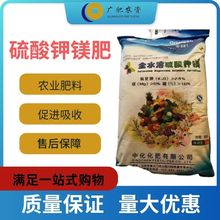 �S�����l �л�������V�� ��߷��������ʸ����������M�������L