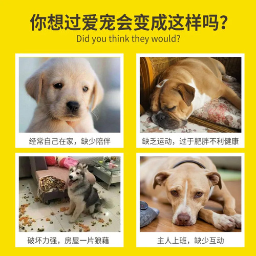 Pet colorful snack food leaking ball, dog teeth grinding puzzle, strange barking ball food leaking device, chewing and making sound toys wholesale