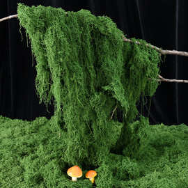 仿真苔藓丝草皮造景假青苔绿植墙面草坪庭院橱窗装饰场景布置微景