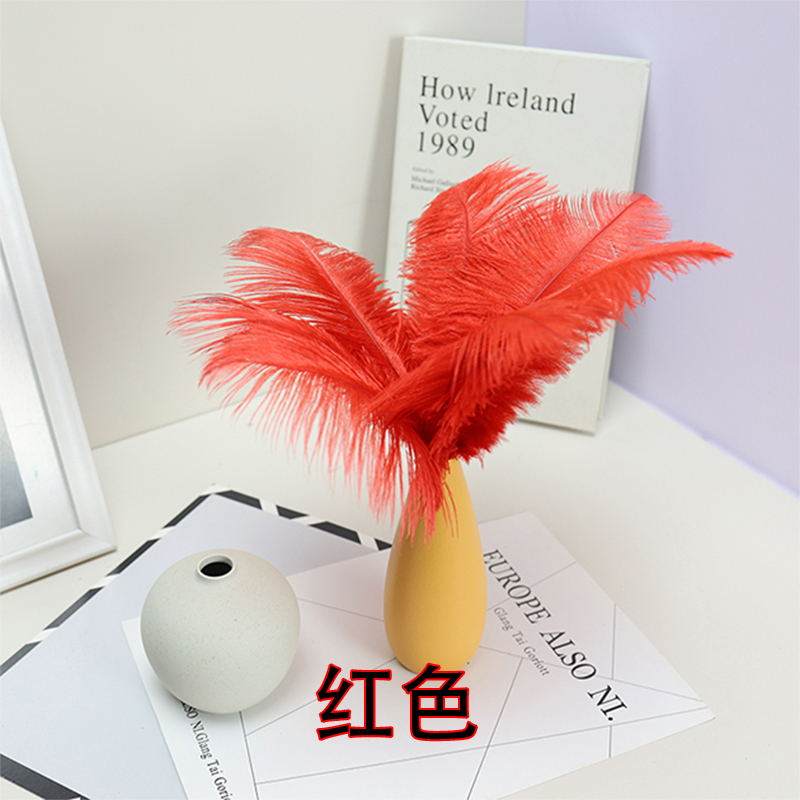 Plumas de avestruz bodas blancas de avestruz guía de plumas accesorios de fotos adornos rojo rosado en línea grandes plumas decoración