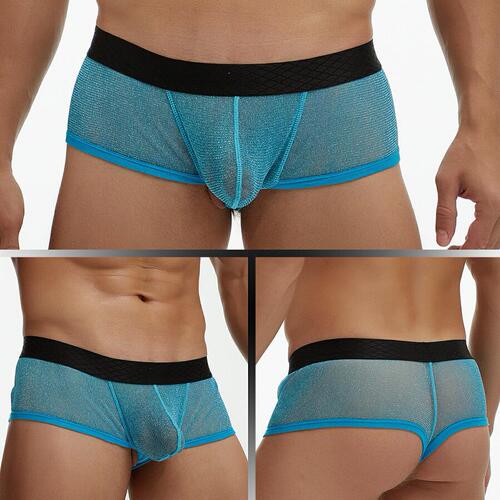 European and American foreign trade GAY men's underwear see-through fine mesh pouch low-waisted wide-brimmed boxer briefs large size E076