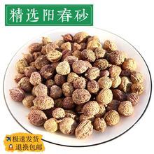 正宗砂仁中药材阳春砂仁100g春砂仁果香料特产春砂仁茶泡水沙仁粉