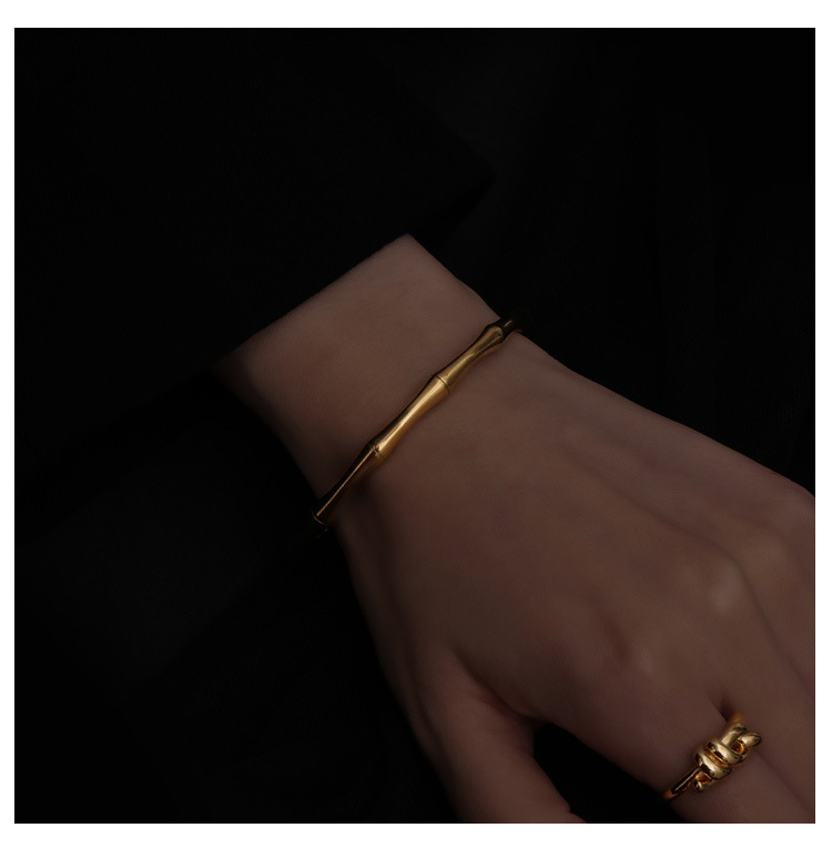 Elegant Bamboo Titanium Steel Plating Bangle display picture 5