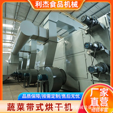 中草药清洗烘干流水线 大型木薯粉多层带式烘干机 效率高耗能低